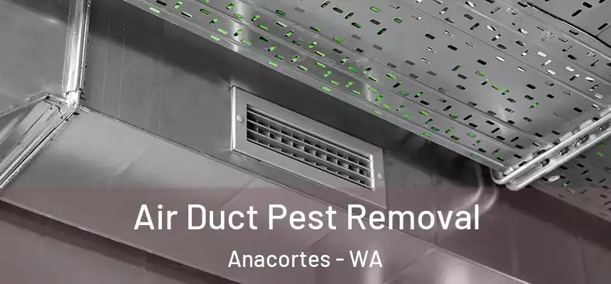  Air Duct Pest Removal Anacortes - WA