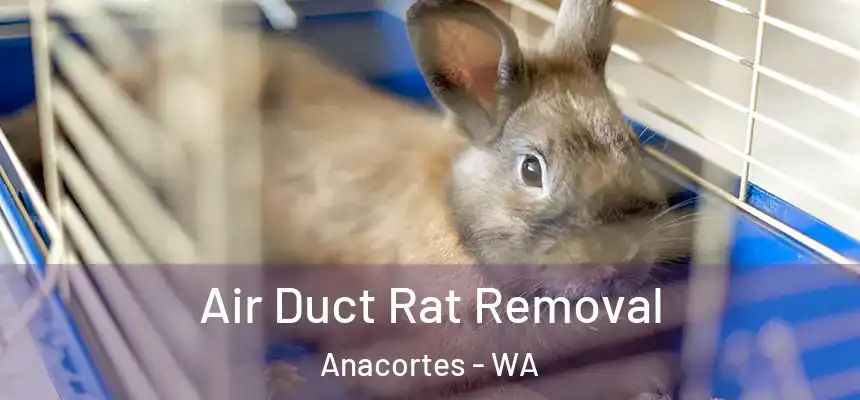  Air Duct Rat Removal Anacortes - WA