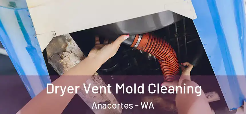  Dryer Vent Mold Cleaning Anacortes - WA