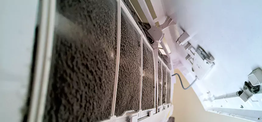 Preventive Air Duct Bacteria Removal in Anacortes