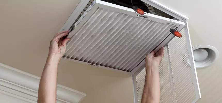 Preventive Cockroach-Proofing for Ducts in Anacortes