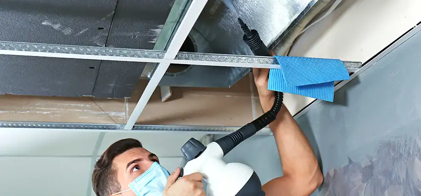 Our Air Duct Rodent Removal Services in Anacortes, WA