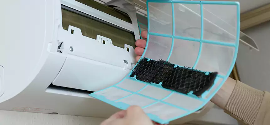 Gentle Ductwork Odor-Control Pet Dander Duct Cleaning in Anacortes, WA