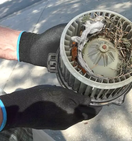 About Air Duct Rat Removal in Anacortes, WA