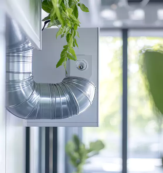 Professional Eco-Friendly Duct Cleaning Services in Anacortes, WA