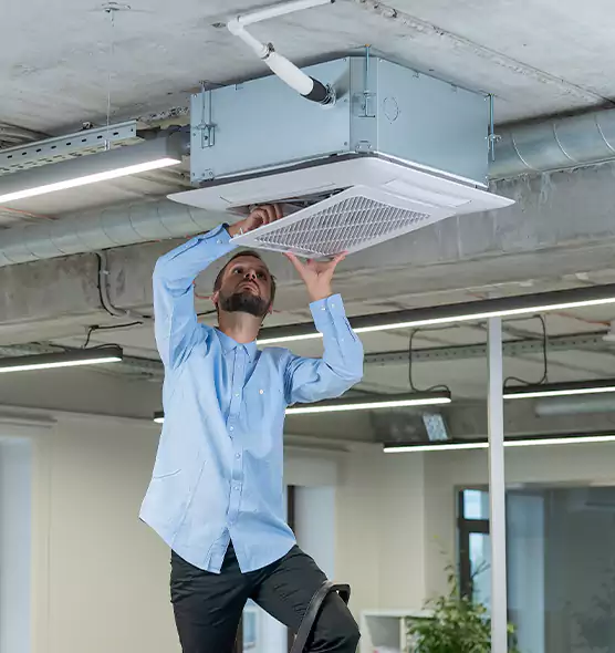 Advanced Rodent Droppings In Vents in Anacortes, WA