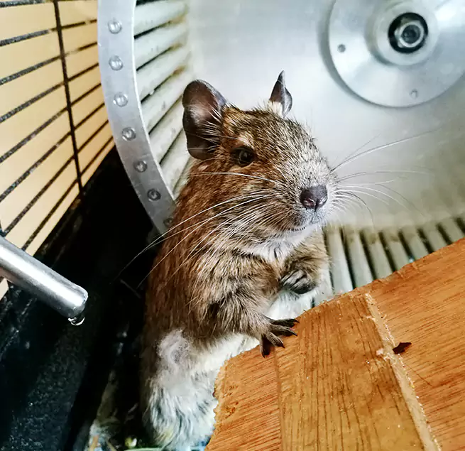 Why Homeowners & Businesses Trust Us Anacortes, WA?