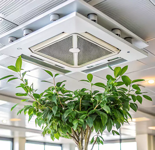 Why Homeowners & Businesses Trust Us in Anacortes, WA