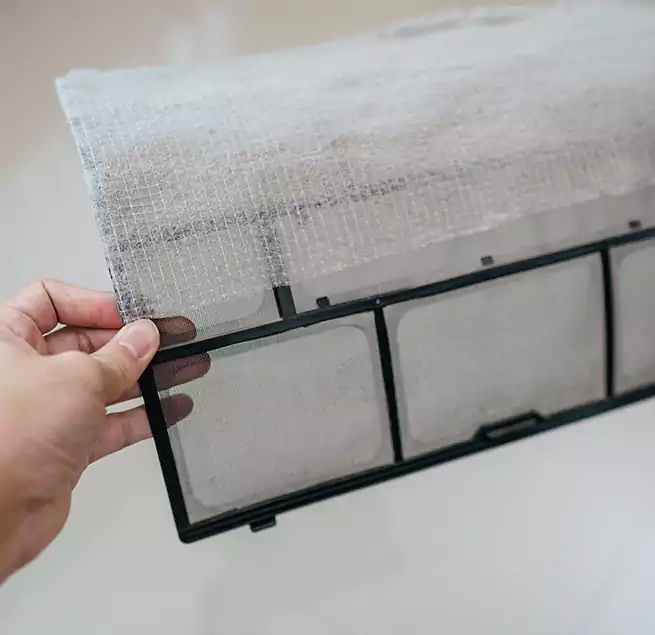 Why Homeowners & Businesses Trust Us in Anacortes, WA?